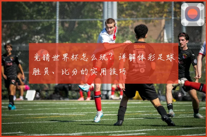 竞猜世界杯怎么玩？详解体彩足球胜负、比分的实用技巧