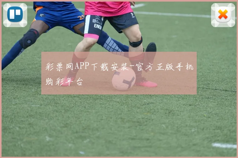 彩票网APP下载安装-官方正版手机购彩平台