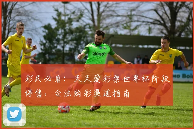 彩民必看：天天爱彩票世界杯阶段停售，合法购彩渠道指南