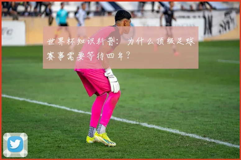 世界杯知识科普：为什么顶级足球赛事需要等待四年？
