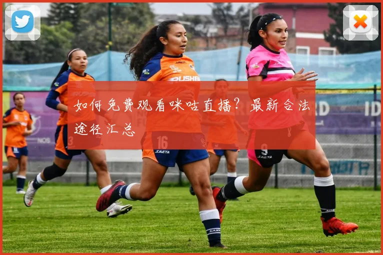 如何免费观看咪咕直播？最新合法途径汇总